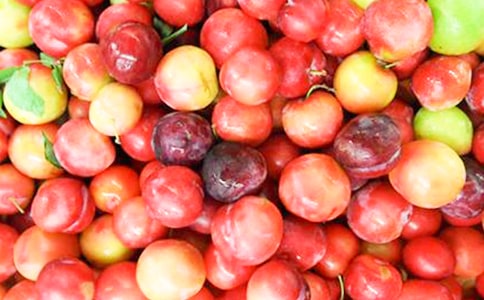 ժ��������12ƪ�����ã�