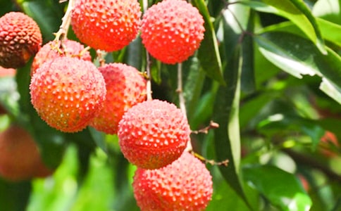 �P����֦�����ă��x[9ƪ]