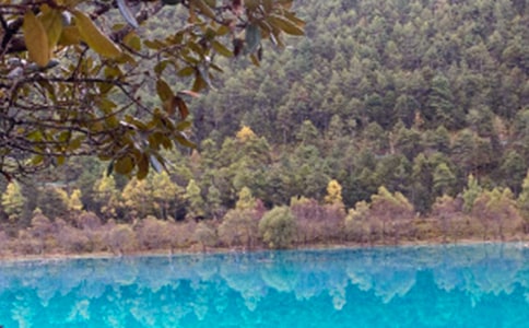 游麗江古城作文(精華)