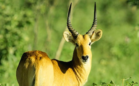 �m��������Ĺ������350��