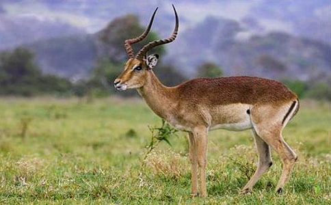 ������Ĺ���m(x��)������