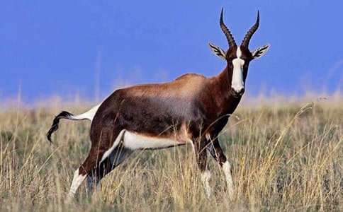 ���������ݡ��x���