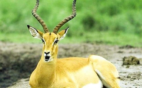 ���������x���