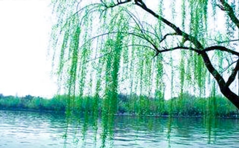 (����)�������������6ƪ