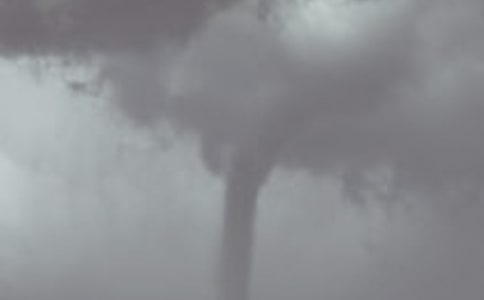 �B�������L������_600��