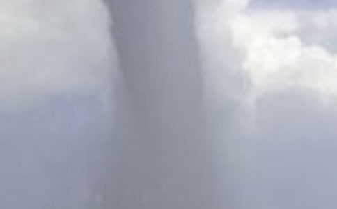 �����L����