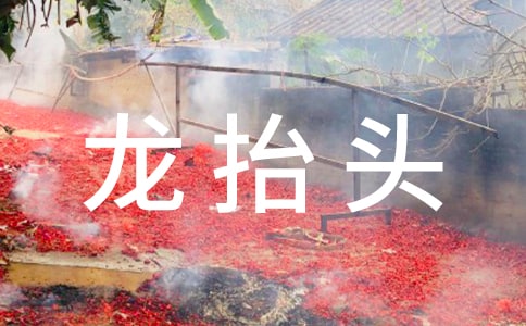 ���¶���̧�^����Ԋ���b�p