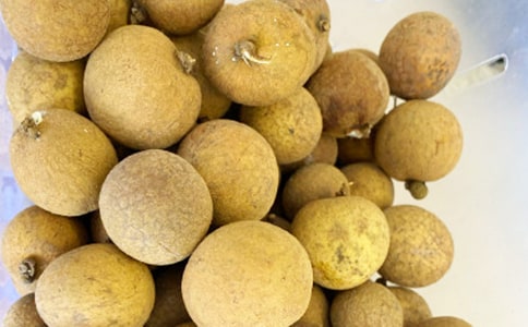 關于摘龍眼的作文(精選28篇)