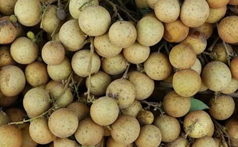 ������_����450��