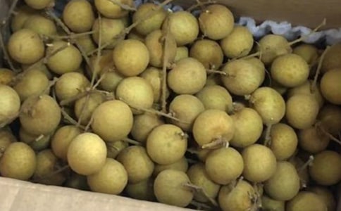 ���l����������