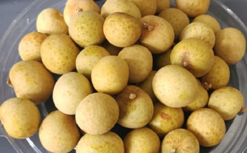 我愛龍眼優(yōu)秀作文600字