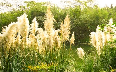 �P(gu��n)���JȔ?sh��)����?/></p>
<h2>�P(gu��n)���JȔ?sh��)����?</h2>
<p>��������������t�ƾG��</p><p>�����޺��W�q�ķ��A�������������˻ؑ�......</p><p>�������µ��_�^���@�ӵ�����ƫƧ�Ĵ��f����һƬ�JȔ����������?zh��n)������۵?�fԒ��