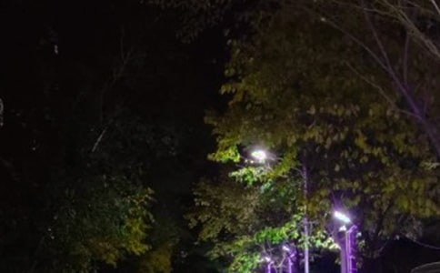 [��(y��u)��]����һ�K·������15ƪ