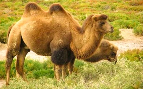 �T������15ƪ[��Ʒ]