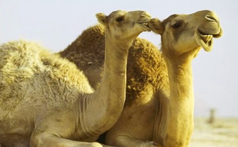 �T������