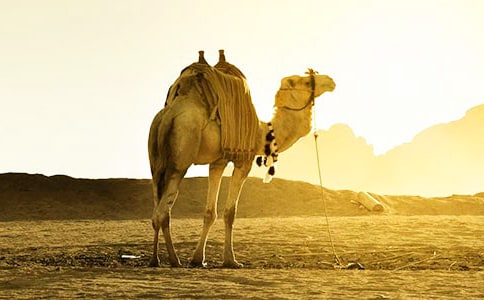 �T��С�W����������