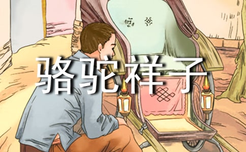 《駱駝祥子》讀書筆記15篇
