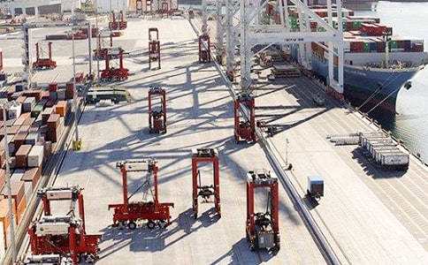 去蛇口碼頭作文200字