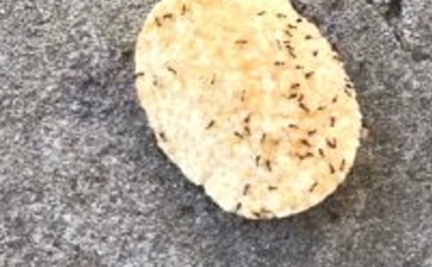 Λρ����^���ģ����x39ƪ��