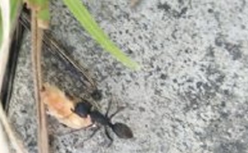 �m�������Λρ