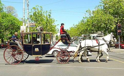 һ�v�R܇������