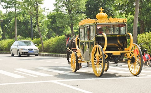 作文 坐觀光馬車