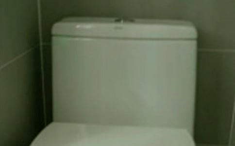 �����҂����I�RͰ����ɢ��