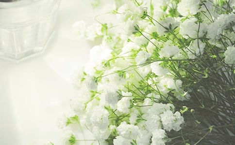 [��Ʒ]�M��������15ƪ