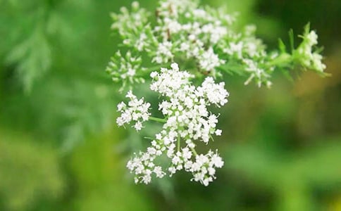 �M���ǵă�������