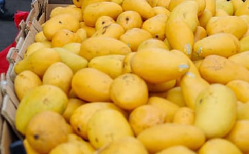 â����������