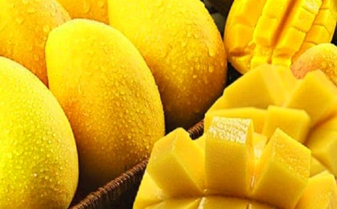 �����â��������800��