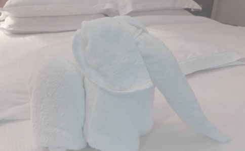 洗毛巾作文300字_小學(xué)生作文