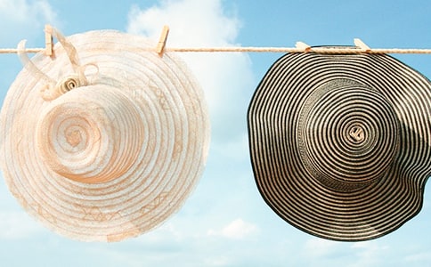 (薦)帽子女王作文