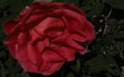 ��99���õ�����ʲô