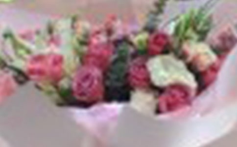 玫瑰公主的故事