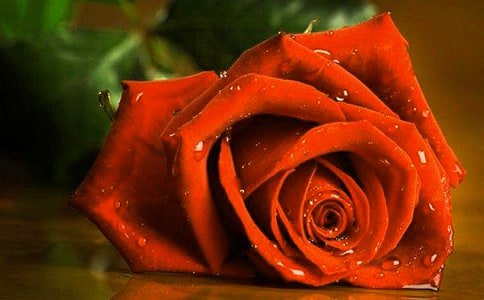 õ�廨��ô�B(y��ng)ֳ������