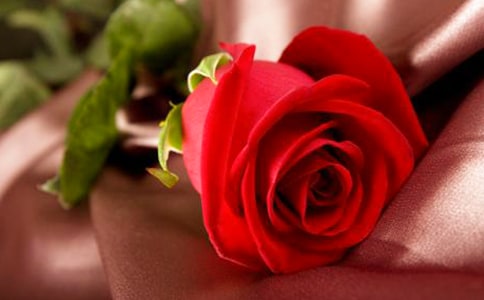 õ�廨�Zÿ�����ʲô