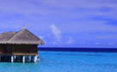 ���؂䡿�l(xi��ng)����������