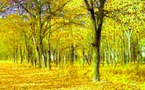 鄉村美景作文(熱)