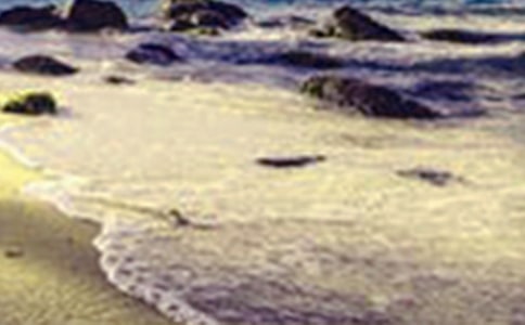 �茑����������Ԋ��