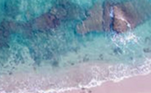 描寫雨中美景的句子