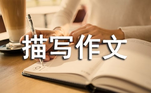 人物描寫作文的評語