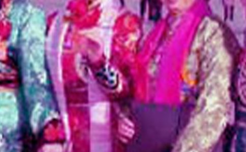 ��P���徫������