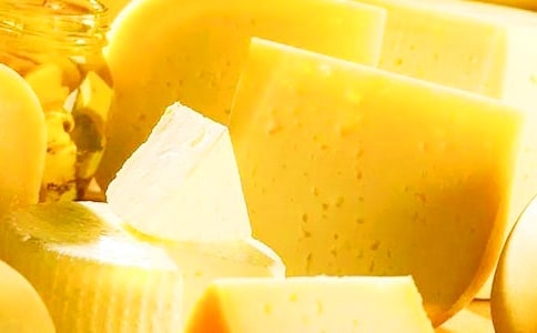 �l�����������x���