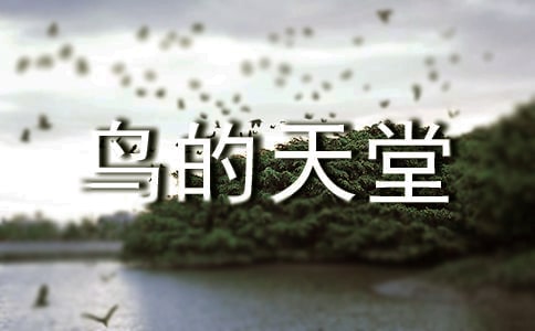 鳥的天堂課堂教學實錄