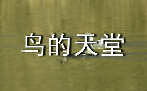 《鳥的天堂》教學設計名師精選篇(2)