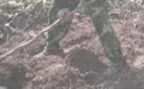 �ڼҸ��r�������������`��棨ͨ��11ƪ��