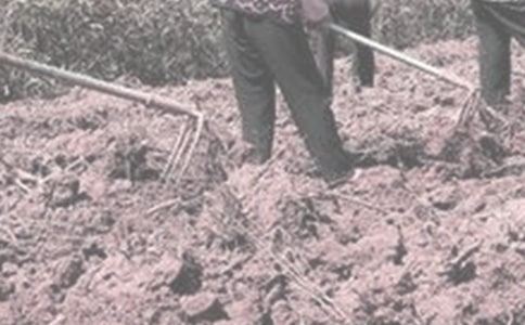 �����ڼ����r���ĵ��w����ͨ��5ƪ��