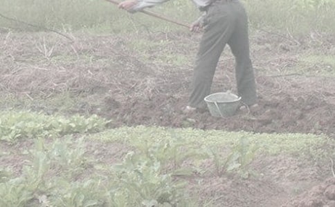 一次干農活的啟示作文