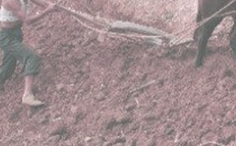 ���r������300�֣����x33ƪ��